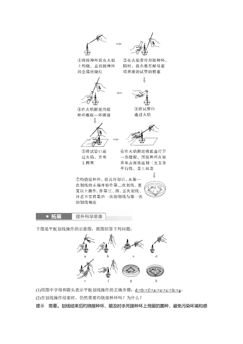 2024年高考生物一轮复习（新人教版）第10单元　第2课时　微生物的培养技术及应用_09高考生物_2024年新高考资料_1.2024一轮复习_2024年高考生物一轮复习讲义（新人教版）