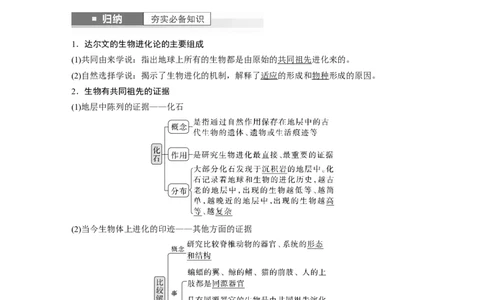 2024年高考生物一轮复习（新人教版）第7单元　第3课时　生物的进化_09高考生物_2024年新高考资料_1.2024一轮复习_2024年高考生物一轮复习讲义（新人教版）