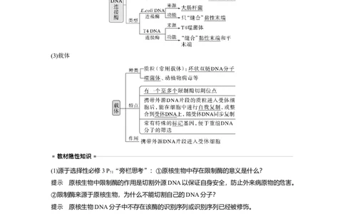 2024年高考生物一轮复习（新人教版）第10单元　第6课时　基因工程的基本工具和基本操作程序_09高考生物_2024年新高考资料_1.2024一轮复习_2024年高考生物一轮复习讲义（新人教版）