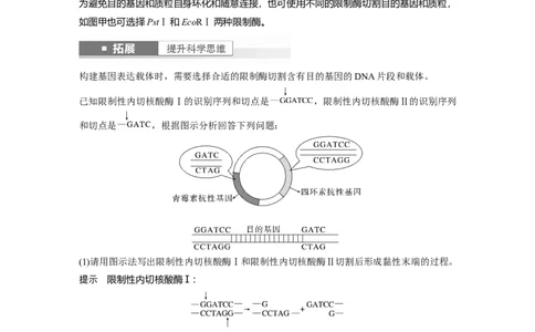2024年高考生物一轮复习（新人教版）第10单元　第6课时　基因工程的基本工具和基本操作程序_09高考生物_2024年新高考资料_1.2024一轮复习_2024年高考生物一轮复习讲义（新人教版）
