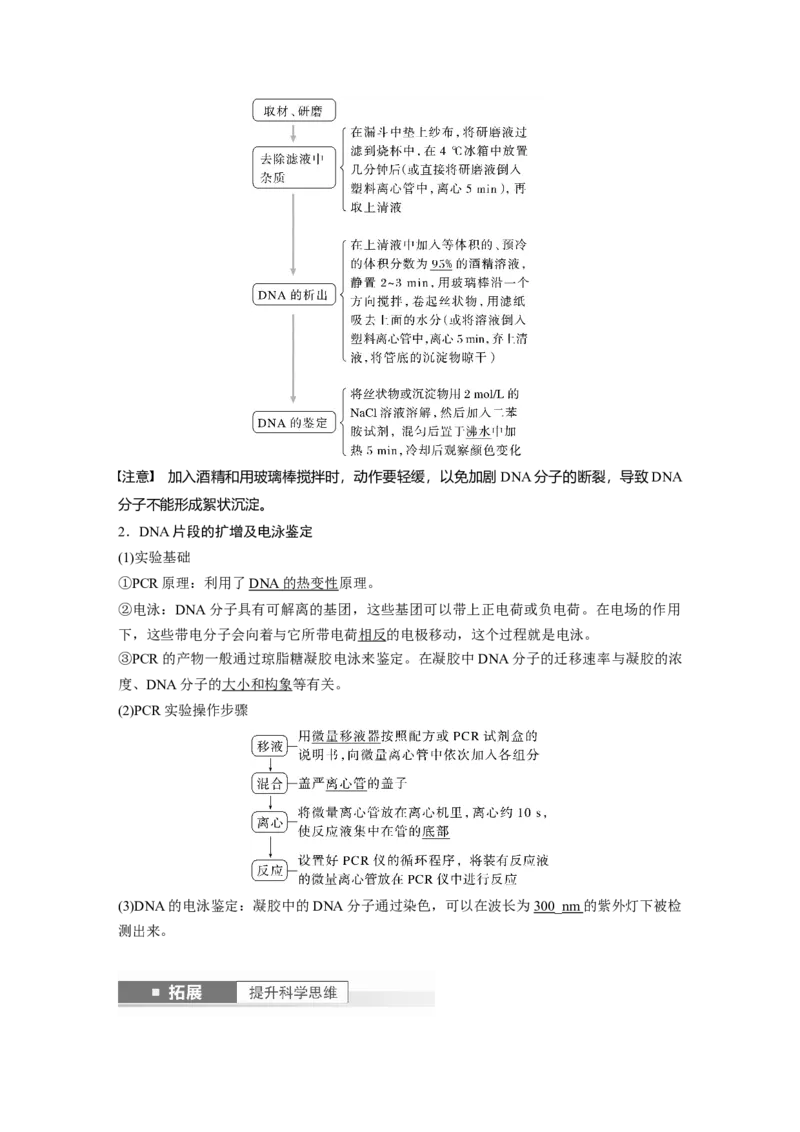 2024年高考生物一轮复习（新人教版）第10单元　第6课时　基因工程的基本工具和基本操作程序_09高考生物_2024年新高考资料_1.2024一轮复习_2024年高考生物一轮复习讲义（新人教版）