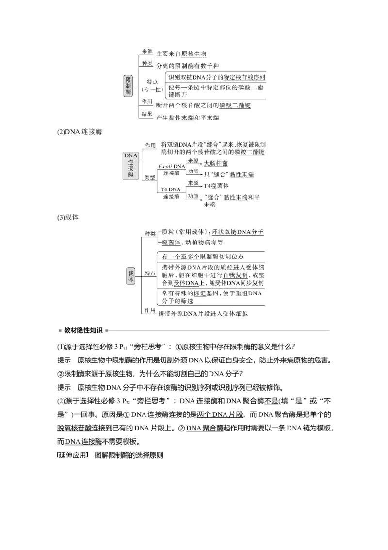 2024年高考生物一轮复习（新人教版）第10单元　第6课时　基因工程的基本工具和基本操作程序_09高考生物_2024年新高考资料_1.2024一轮复习_2024年高考生物一轮复习讲义（新人教版）