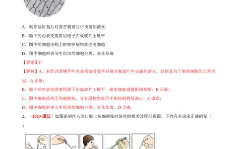 专题16&nbsp;实验（解析版）_02中考总复习（2026版更新中）_08-生物-中考总复习_2024年中考复习资料_专项复习_完三年（2021-2023）中考生物真题分项汇编（全国通用）_答案解析版