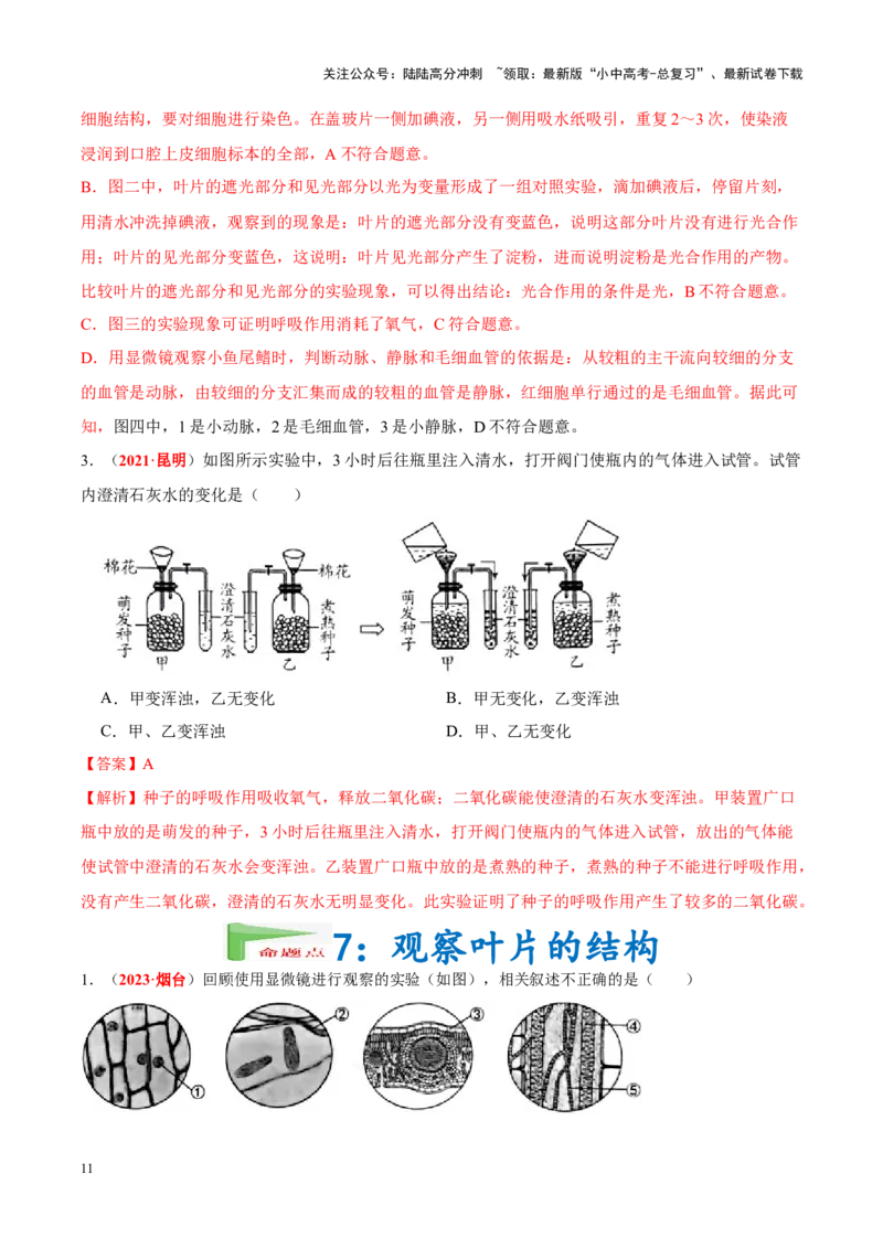 专题16&nbsp;实验（解析版）_02中考总复习（2026版更新中）_08-生物-中考总复习_2024年中考复习资料_专项复习_完三年（2021-2023）中考生物真题分项汇编（全国通用）_答案解析版