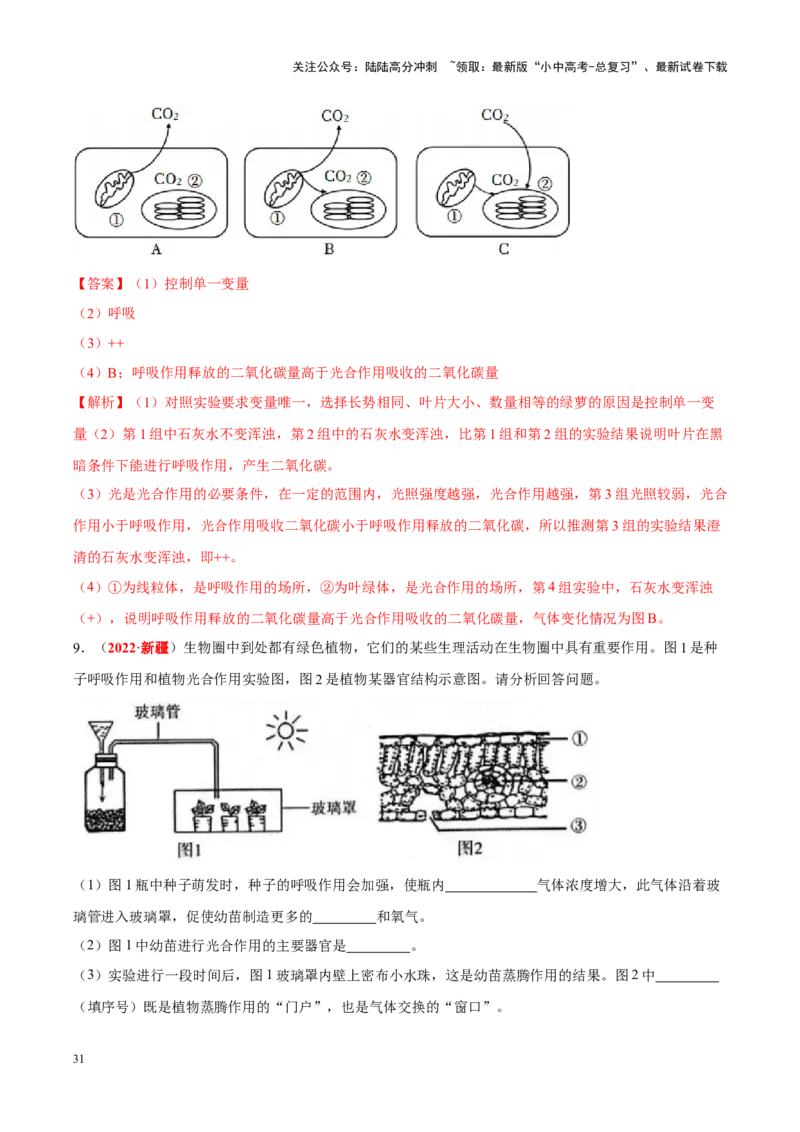 专题16&nbsp;实验（解析版）_02中考总复习（2026版更新中）_08-生物-中考总复习_2024年中考复习资料_专项复习_完三年（2021-2023）中考生物真题分项汇编（全国通用）_答案解析版
