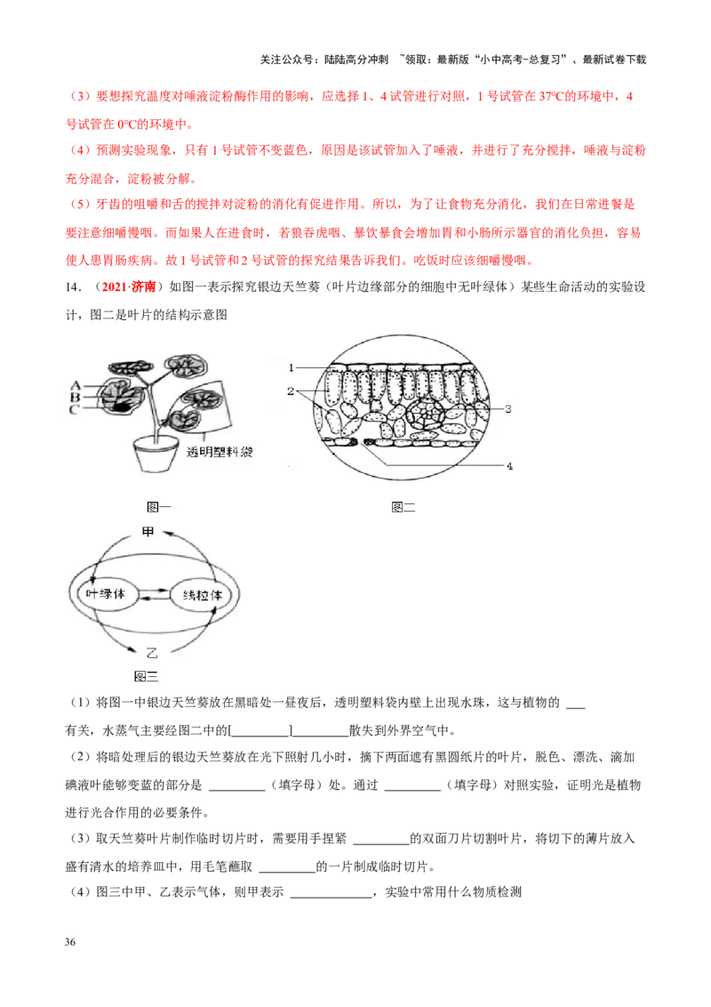 专题16&nbsp;实验（解析版）_02中考总复习（2026版更新中）_08-生物-中考总复习_2024年中考复习资料_专项复习_完三年（2021-2023）中考生物真题分项汇编（全国通用）_答案解析版
