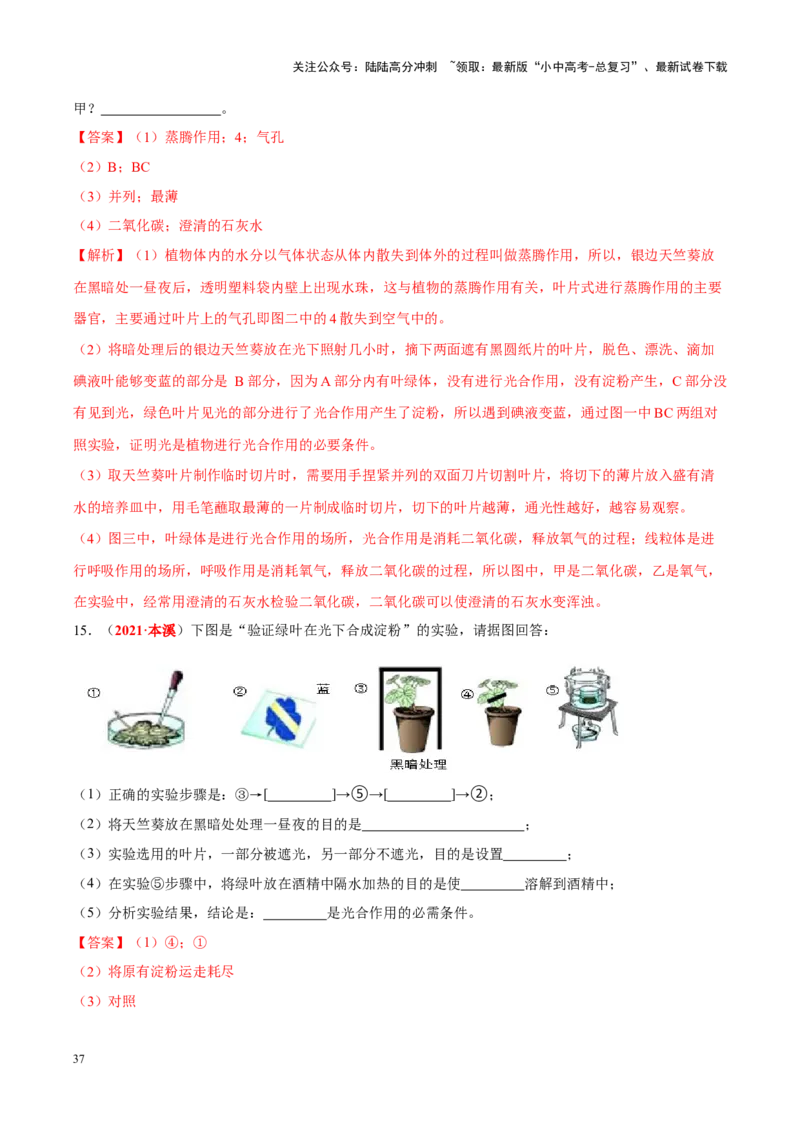 专题16&nbsp;实验（解析版）_02中考总复习（2026版更新中）_08-生物-中考总复习_2024年中考复习资料_专项复习_完三年（2021-2023）中考生物真题分项汇编（全国通用）_答案解析版