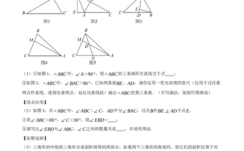 专题11.1与三角形有关线段的几何综合（压轴题专项讲练）（人教版）（教师版）_初中数学_八年级数学上册（人教版）_压轴题专项-V5_2024版