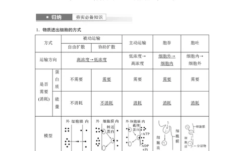 2024年高考生物一轮复习（新人教版）第2单元　第5课时　物质出入细胞的方式及影响因素_09高考生物_2024年新高考资料_1.2024一轮复习_2024年高考生物一轮复习讲义（新人教版）