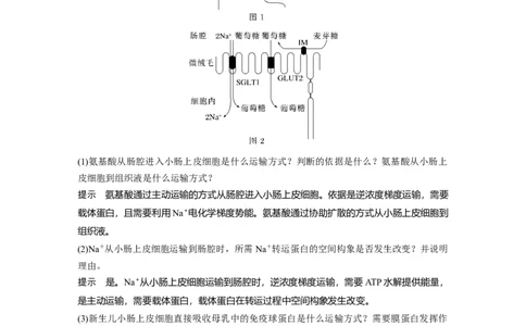 2024年高考生物一轮复习（新人教版）第2单元　第5课时　物质出入细胞的方式及影响因素_09高考生物_2024年新高考资料_1.2024一轮复习_2024年高考生物一轮复习讲义（新人教版）