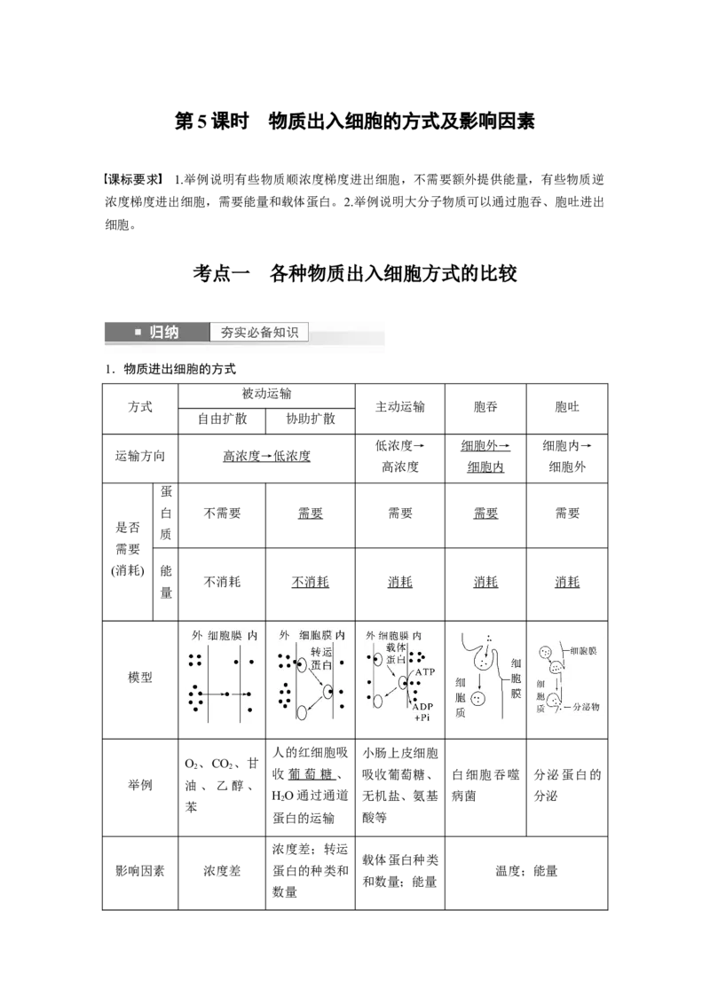 2024年高考生物一轮复习（新人教版）第2单元　第5课时　物质出入细胞的方式及影响因素_09高考生物_2024年新高考资料_1.2024一轮复习_2024年高考生物一轮复习讲义（新人教版）