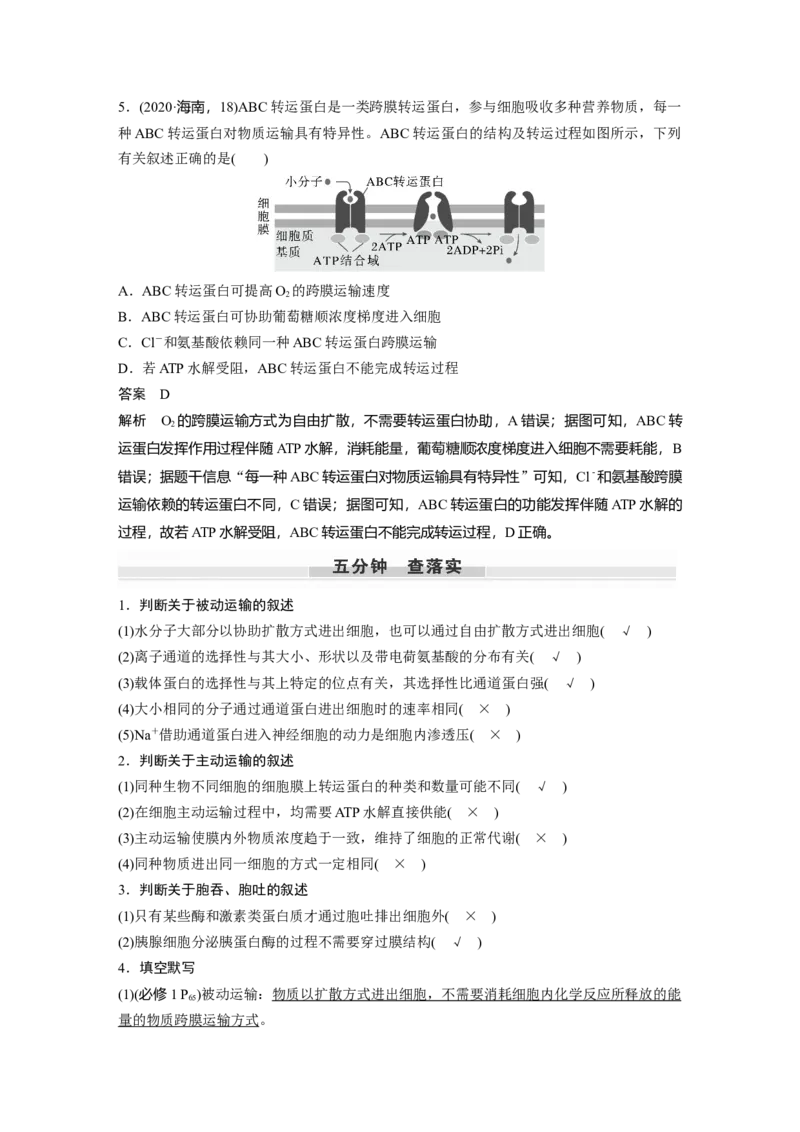 2024年高考生物一轮复习（新人教版）第2单元　第5课时　物质出入细胞的方式及影响因素_09高考生物_2024年新高考资料_1.2024一轮复习_2024年高考生物一轮复习讲义（新人教版）
