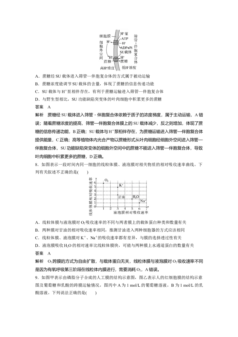2024年高考生物一轮复习（新人教版）第2单元　第5课时　物质出入细胞的方式及影响因素_09高考生物_2024年新高考资料_1.2024一轮复习_2024年高考生物一轮复习讲义（新人教版）