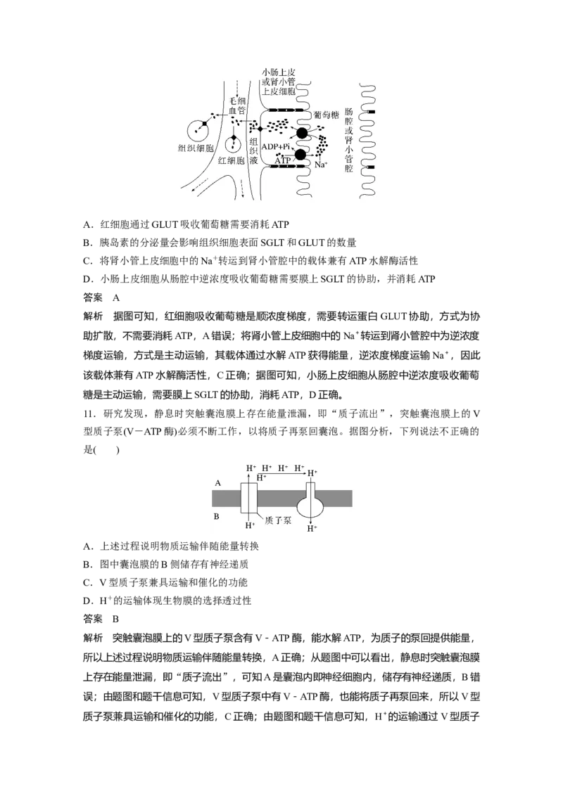 2024年高考生物一轮复习（新人教版）第2单元　第5课时　物质出入细胞的方式及影响因素_09高考生物_2024年新高考资料_1.2024一轮复习_2024年高考生物一轮复习讲义（新人教版）
