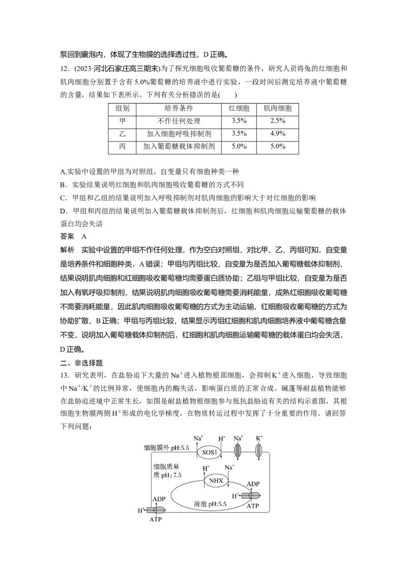 2024年高考生物一轮复习（新人教版）第2单元　第5课时　物质出入细胞的方式及影响因素_09高考生物_2024年新高考资料_1.2024一轮复习_2024年高考生物一轮复习讲义（新人教版）