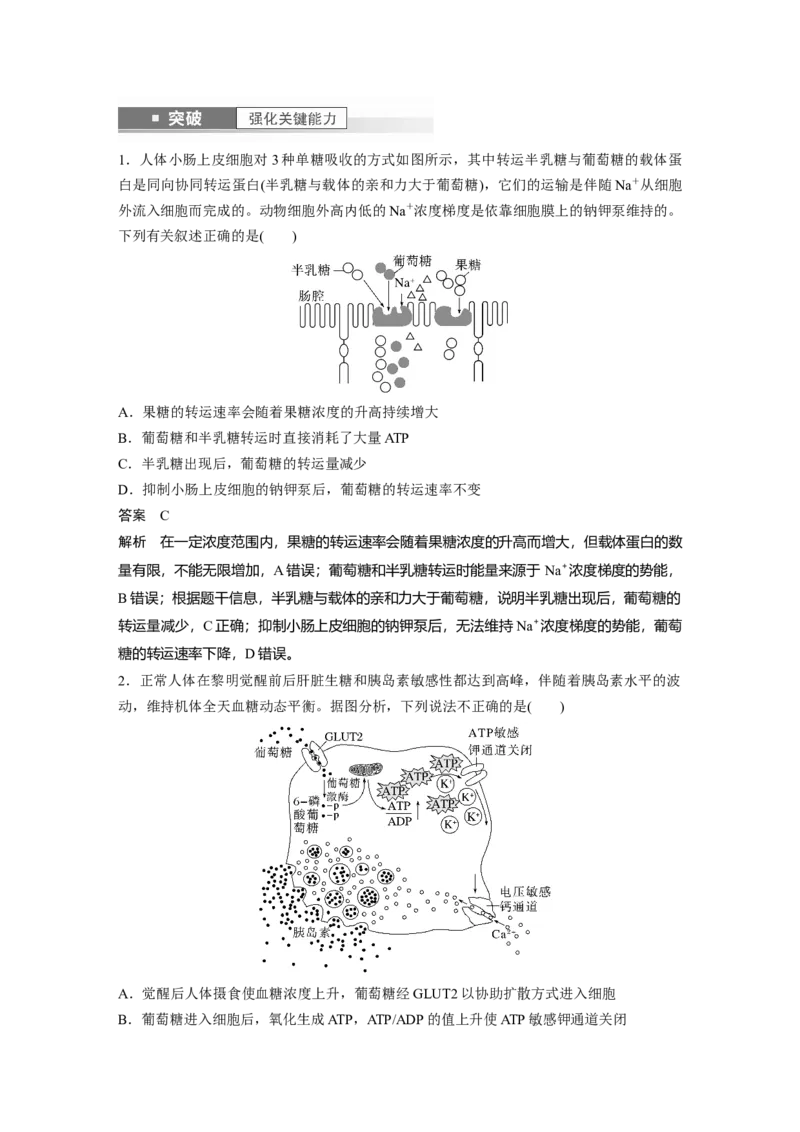 2024年高考生物一轮复习（新人教版）第2单元　第5课时　物质出入细胞的方式及影响因素_09高考生物_2024年新高考资料_1.2024一轮复习_2024年高考生物一轮复习讲义（新人教版）