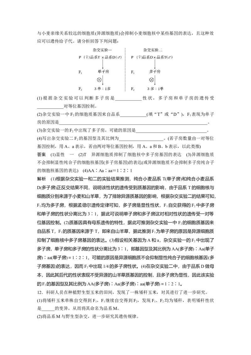 2024年高考生物一轮复习（新人教版）第5单元　第2课时　基因分离定律基础题型突破_09高考生物_2024年新高考资料_1.2024一轮复习_2024年高考生物一轮复习讲义（新人教版）