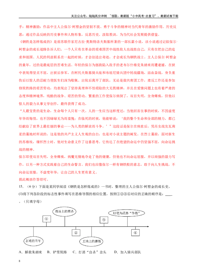 专题08《钢铁是怎样炼成的》-2025年中考语文名著导读分层闯关训练（解析版）_02中考总复习（2026版更新中）_01-语文-中考总复习_2025年中考资料_2025年中考语文名著导读分层闯关训练