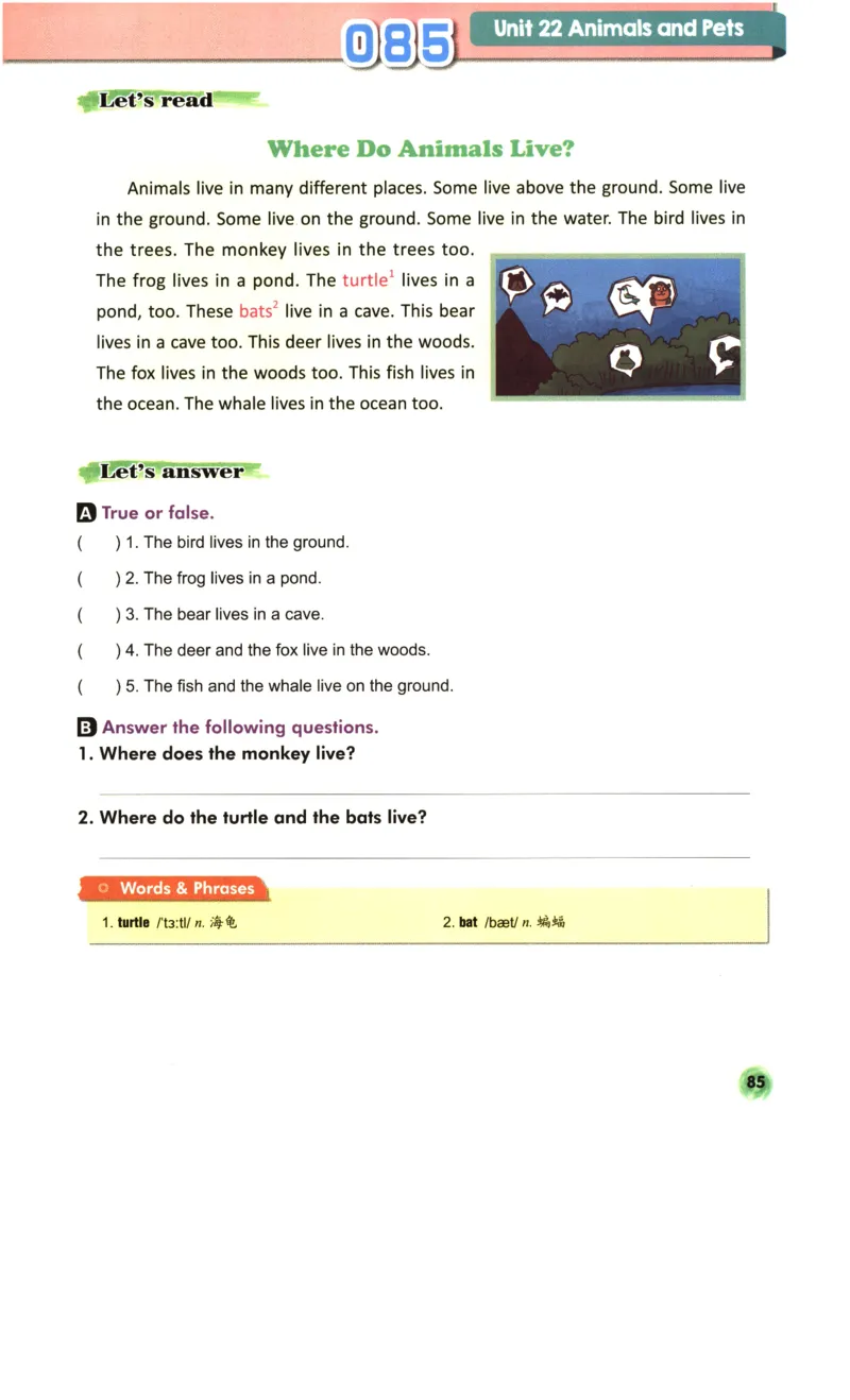 读霸小学英语4年级阅读128篇_26春四年级上下册人教版_四上英语合集人教版PEP英语四年级上册新教材（教学视频+课件+动画+音频+练习+教案）_17练习资料_《英语阅读128篇》