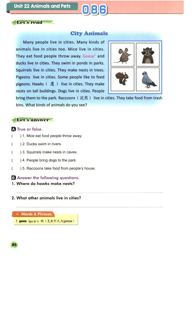 读霸小学英语4年级阅读128篇_26春四年级上下册人教版_四上英语合集人教版PEP英语四年级上册新教材（教学视频+课件+动画+音频+练习+教案）_17练习资料_《英语阅读128篇》