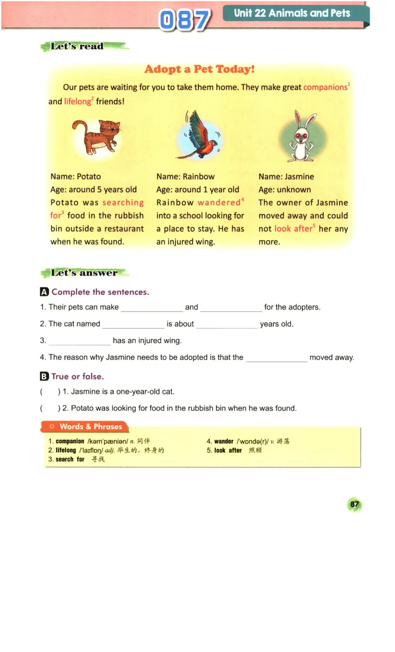 读霸小学英语4年级阅读128篇_26春四年级上下册人教版_四上英语合集人教版PEP英语四年级上册新教材（教学视频+课件+动画+音频+练习+教案）_17练习资料_《英语阅读128篇》