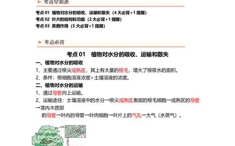 专题06绿色植物与生物圈的水循环（背记帮）-备战2024年中考生物一轮复习考点帮（全国通用）_02中考总复习（2026版更新中）_08-生物-中考总复习_2024年中考复习资料_一轮复习_必背考点
