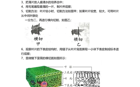 专题06绿色植物与生物圈的水循环（背记帮）-备战2024年中考生物一轮复习考点帮（全国通用）_02中考总复习（2026版更新中）_08-生物-中考总复习_2024年中考复习资料_一轮复习_必背考点