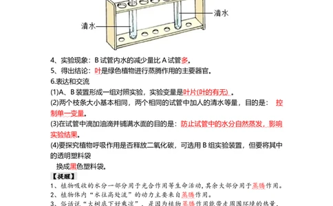 专题06绿色植物与生物圈的水循环（背记帮）-备战2024年中考生物一轮复习考点帮（全国通用）_02中考总复习（2026版更新中）_08-生物-中考总复习_2024年中考复习资料_一轮复习_必背考点