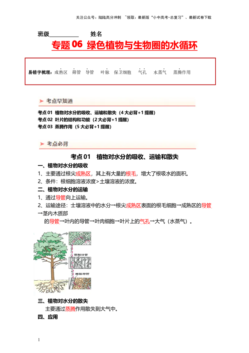 专题06绿色植物与生物圈的水循环（背记帮）-备战2024年中考生物一轮复习考点帮（全国通用）_02中考总复习（2026版更新中）_08-生物-中考总复习_2024年中考复习资料_一轮复习_必背考点