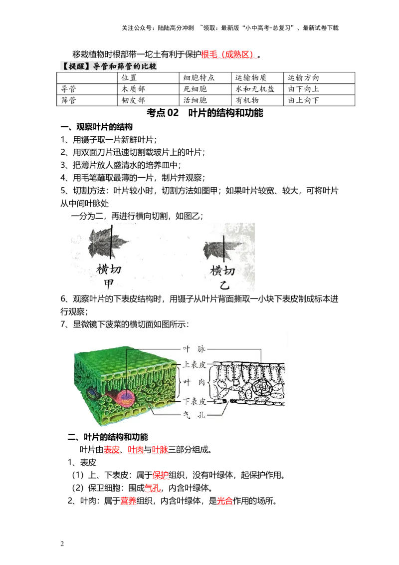 专题06绿色植物与生物圈的水循环（背记帮）-备战2024年中考生物一轮复习考点帮（全国通用）_02中考总复习（2026版更新中）_08-生物-中考总复习_2024年中考复习资料_一轮复习_必背考点