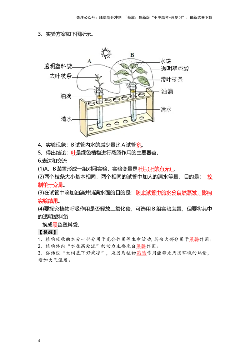 专题06绿色植物与生物圈的水循环（背记帮）-备战2024年中考生物一轮复习考点帮（全国通用）_02中考总复习（2026版更新中）_08-生物-中考总复习_2024年中考复习资料_一轮复习_必背考点
