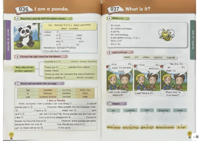 3英语~写霸_26春四年级上下册人教版_四上英语合集人教版PEP英语四年级上册新教材（教学视频+课件+动画+音频+练习+教案）_17练习资料_小学英语（预习复习资料大礼包）