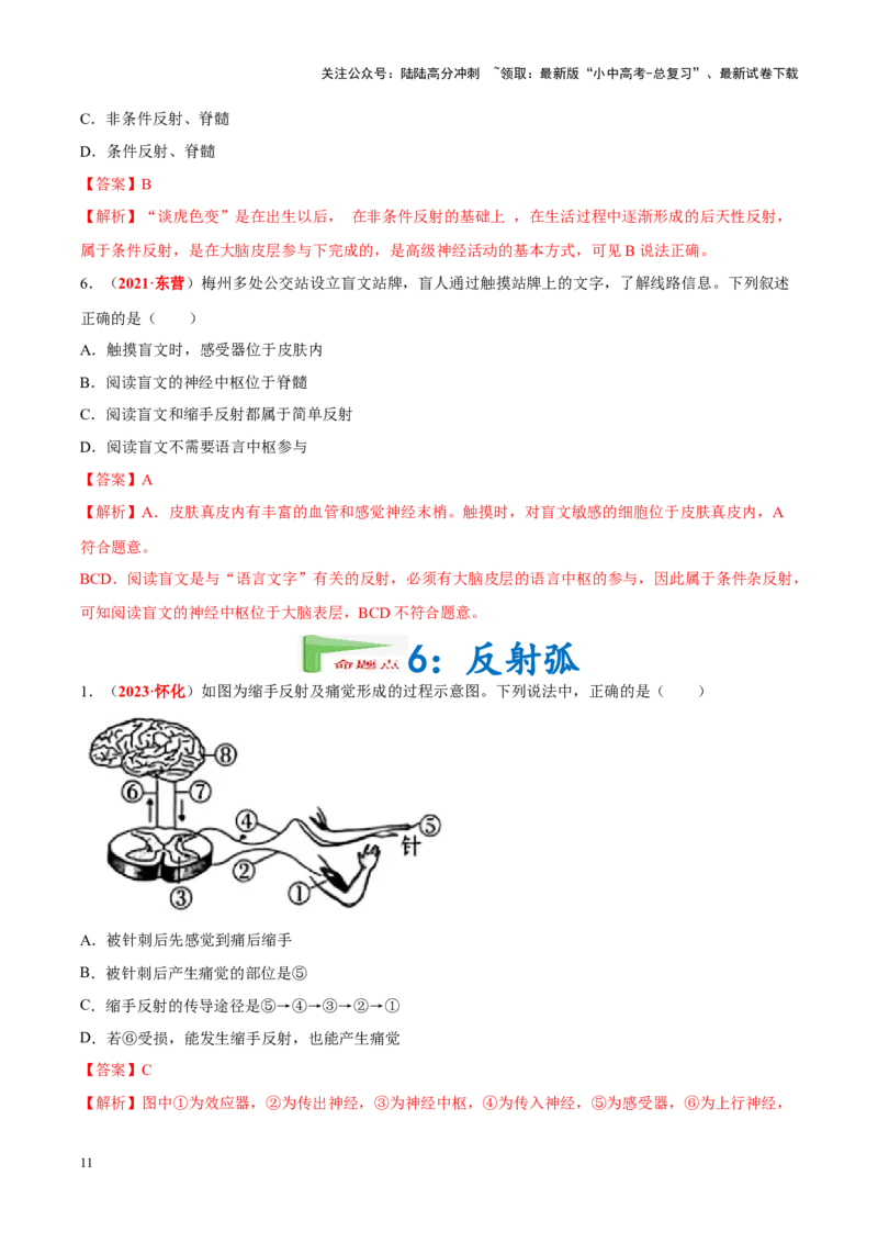 专题08&nbsp;人体生命活动的调节（解析版）_02中考总复习（2026版更新中）_08-生物-中考总复习_2024年中考复习资料_专项复习_完三年（2021-2023）中考生物真题分项汇编（全国通用）