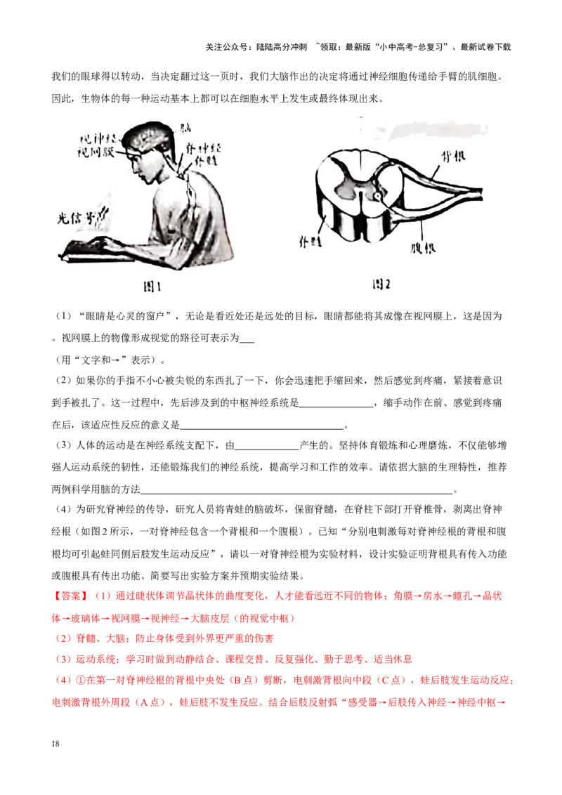 专题08&nbsp;人体生命活动的调节（解析版）_02中考总复习（2026版更新中）_08-生物-中考总复习_2024年中考复习资料_专项复习_完三年（2021-2023）中考生物真题分项汇编（全国通用）