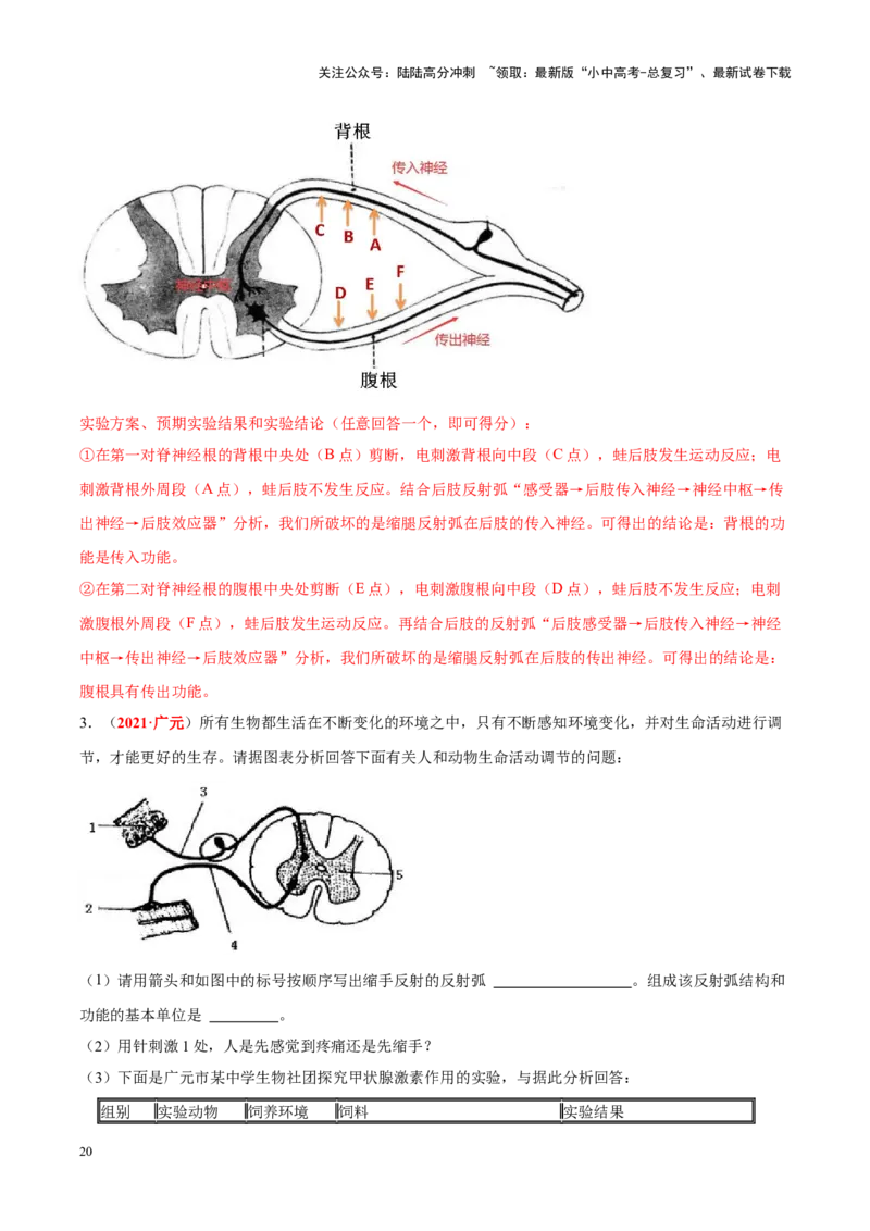 专题08&nbsp;人体生命活动的调节（解析版）_02中考总复习（2026版更新中）_08-生物-中考总复习_2024年中考复习资料_专项复习_完三年（2021-2023）中考生物真题分项汇编（全国通用）