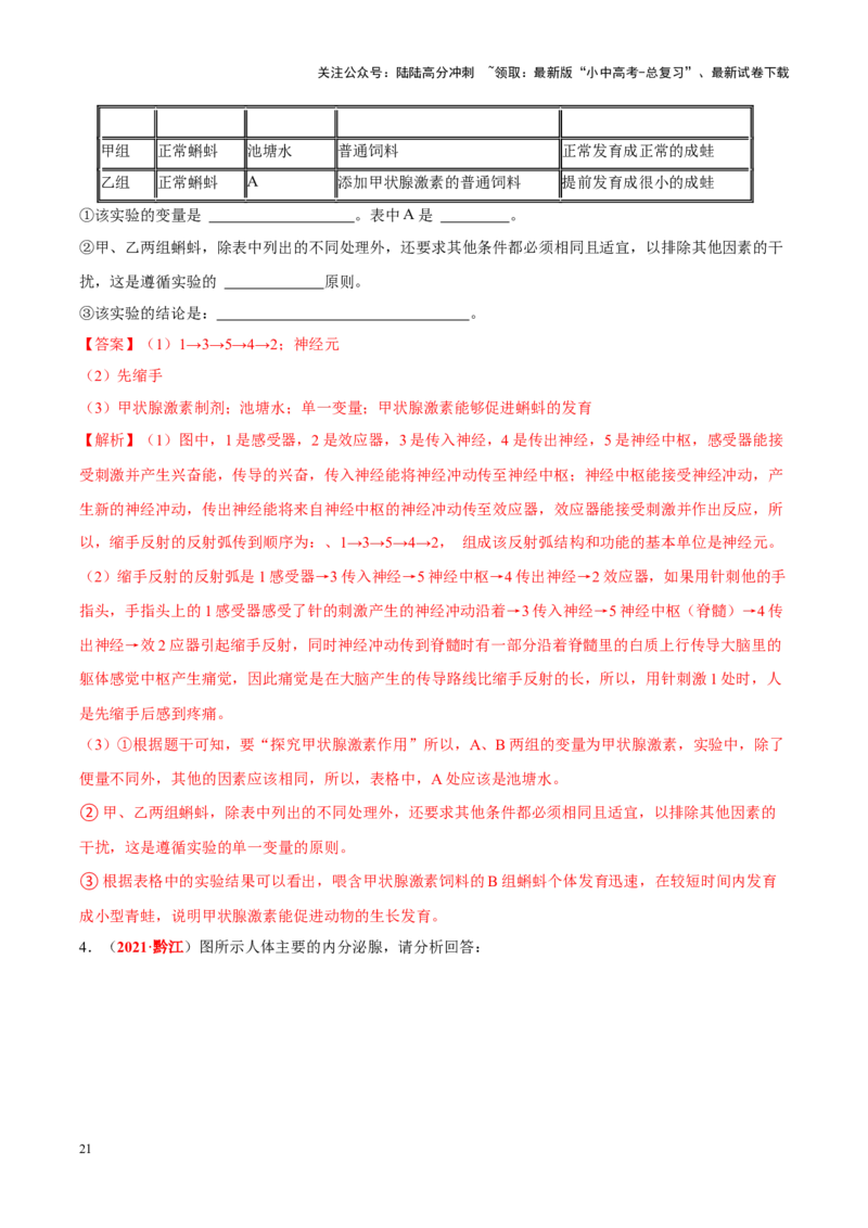 专题08&nbsp;人体生命活动的调节（解析版）_02中考总复习（2026版更新中）_08-生物-中考总复习_2024年中考复习资料_专项复习_完三年（2021-2023）中考生物真题分项汇编（全国通用）