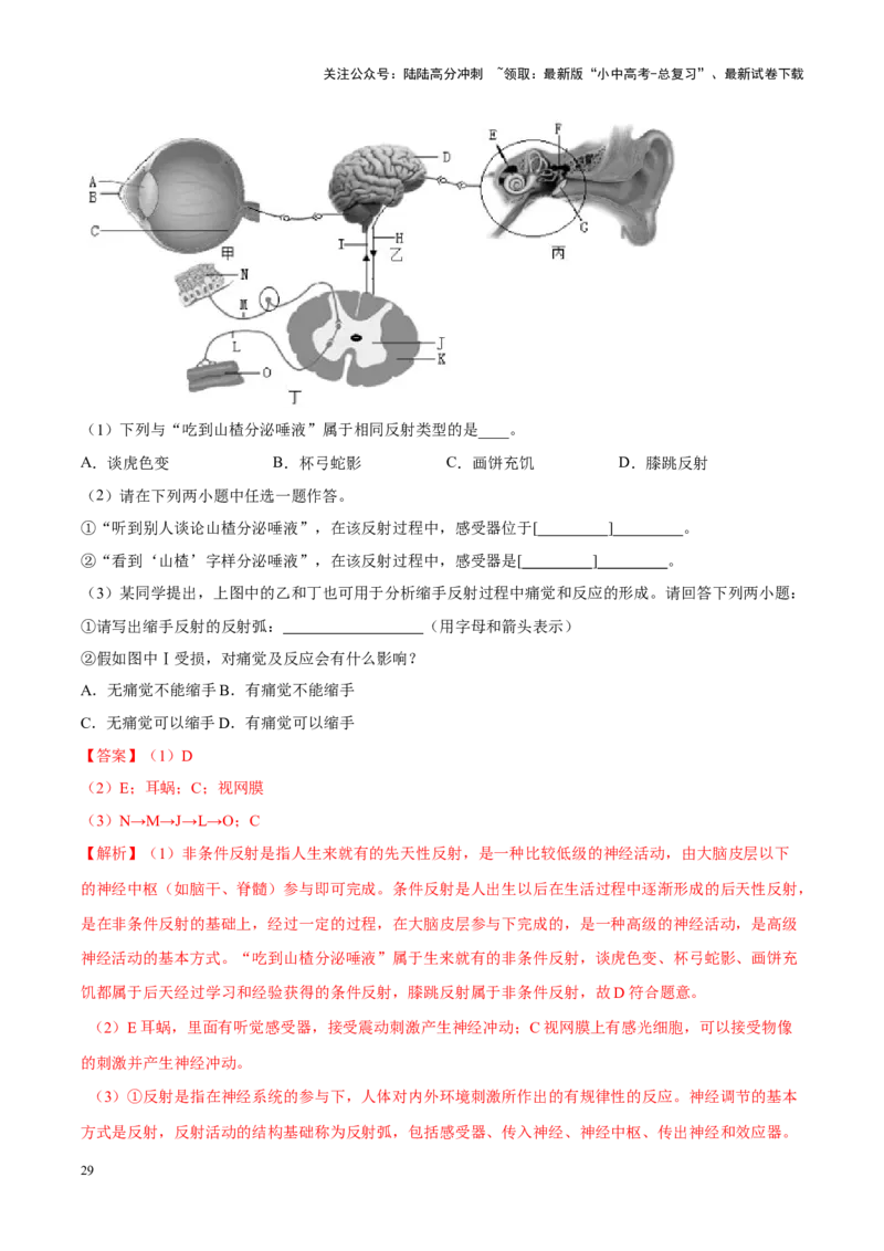 专题08&nbsp;人体生命活动的调节（解析版）_02中考总复习（2026版更新中）_08-生物-中考总复习_2024年中考复习资料_专项复习_完三年（2021-2023）中考生物真题分项汇编（全国通用）