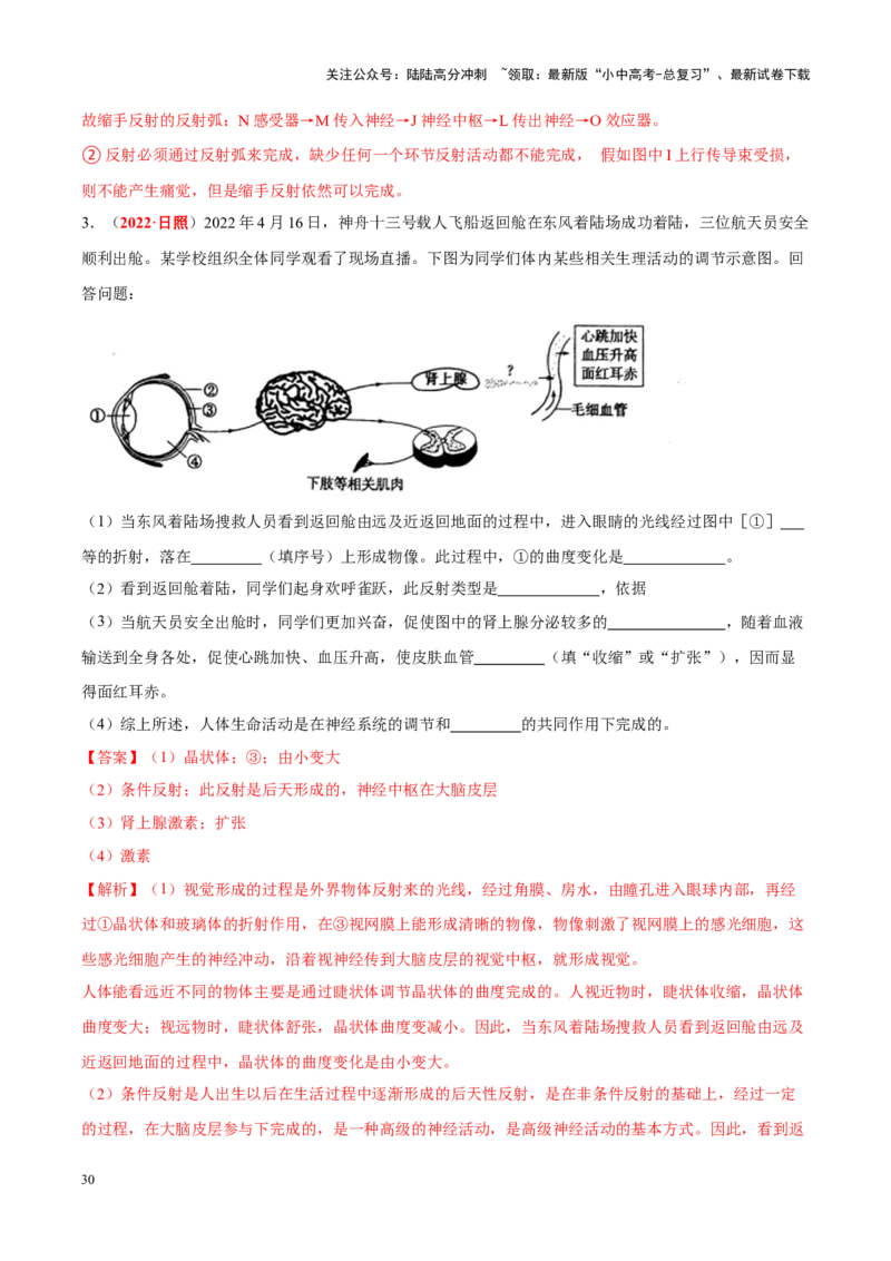 专题08&nbsp;人体生命活动的调节（解析版）_02中考总复习（2026版更新中）_08-生物-中考总复习_2024年中考复习资料_专项复习_完三年（2021-2023）中考生物真题分项汇编（全国通用）
