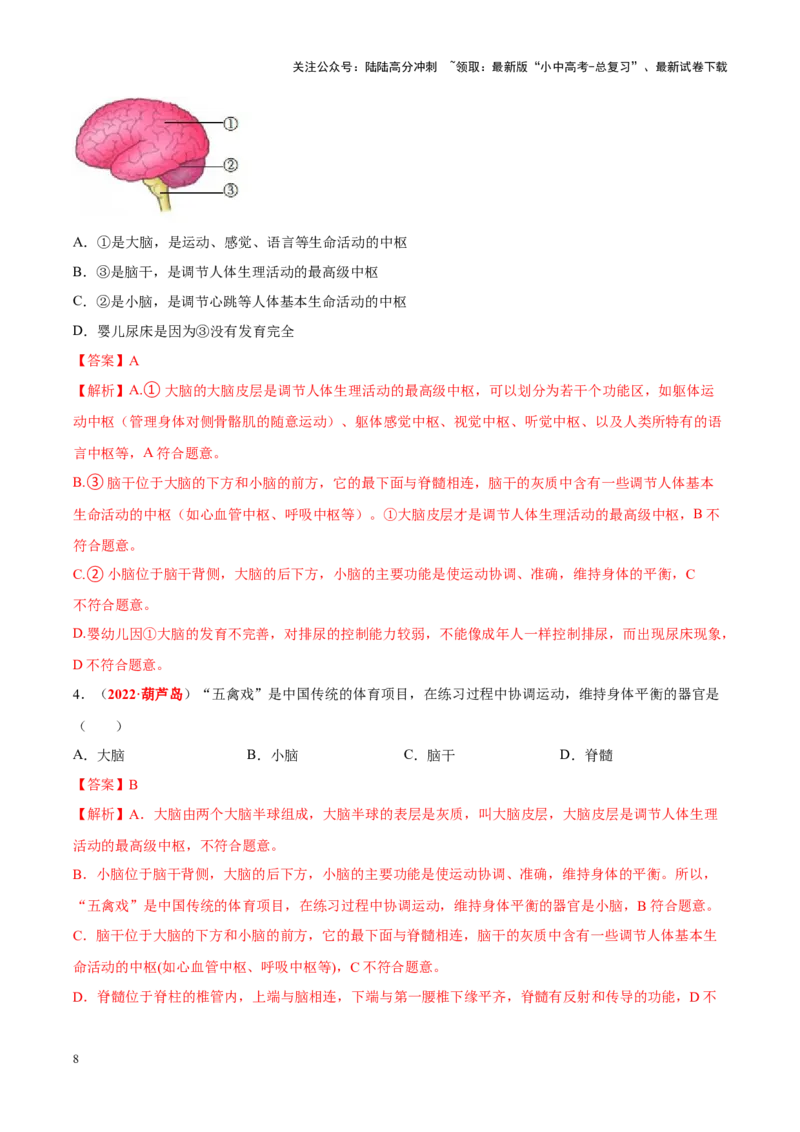 专题08&nbsp;人体生命活动的调节（解析版）_02中考总复习（2026版更新中）_08-生物-中考总复习_2024年中考复习资料_专项复习_完三年（2021-2023）中考生物真题分项汇编（全国通用）