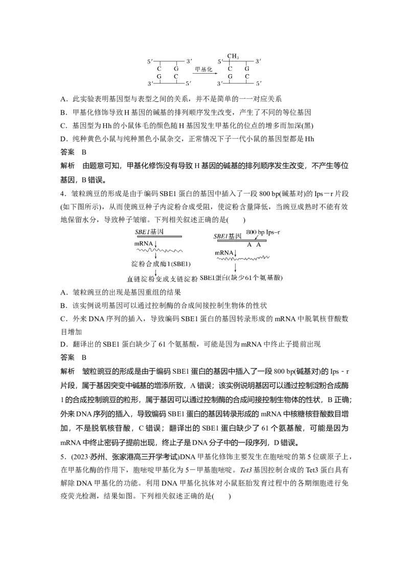 2024年高考生物一轮复习（新人教版）第6单元　第4课时　基因表达与性状的关系_09高考生物_2024年新高考资料_1.2024一轮复习_2024年高考生物一轮复习讲义（新人教版）