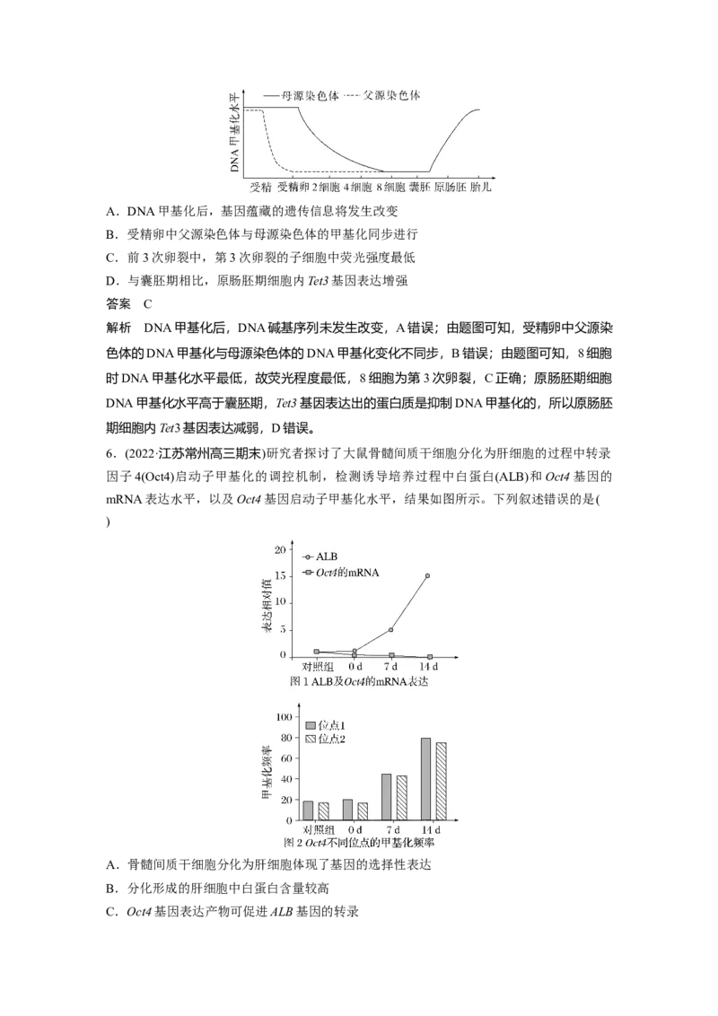 2024年高考生物一轮复习（新人教版）第6单元　第4课时　基因表达与性状的关系_09高考生物_2024年新高考资料_1.2024一轮复习_2024年高考生物一轮复习讲义（新人教版）