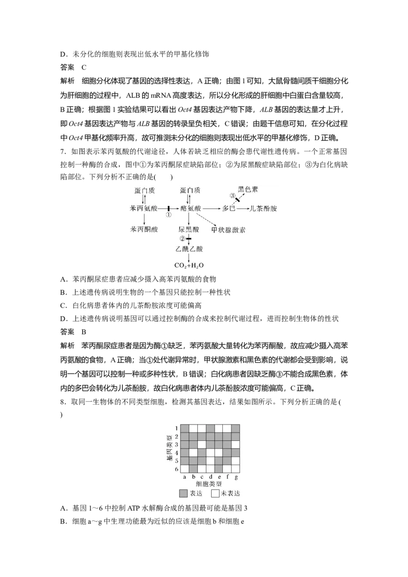 2024年高考生物一轮复习（新人教版）第6单元　第4课时　基因表达与性状的关系_09高考生物_2024年新高考资料_1.2024一轮复习_2024年高考生物一轮复习讲义（新人教版）