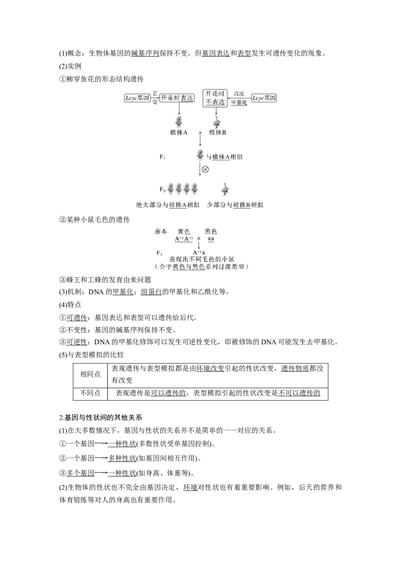 2024年高考生物一轮复习（新人教版）第6单元　第4课时　基因表达与性状的关系_09高考生物_2024年新高考资料_1.2024一轮复习_2024年高考生物一轮复习讲义（新人教版）