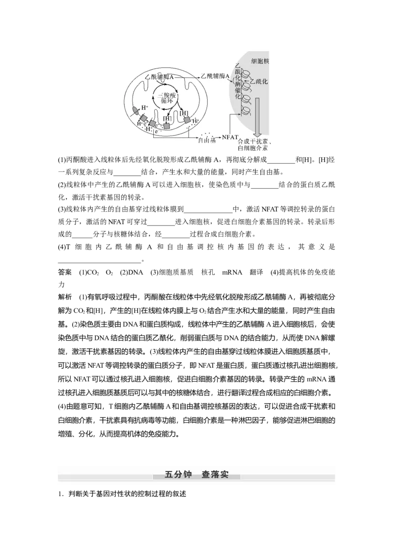 2024年高考生物一轮复习（新人教版）第6单元　第4课时　基因表达与性状的关系_09高考生物_2024年新高考资料_1.2024一轮复习_2024年高考生物一轮复习讲义（新人教版）