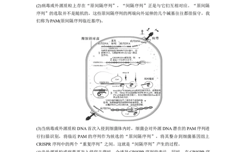 2024年高考生物一轮复习（新人教版）第10单元　解惑练5　CRISPRCas9技术_09高考生物_2024年新高考资料_1.2024一轮复习_2024年高考生物一轮复习讲义（新人教版）
