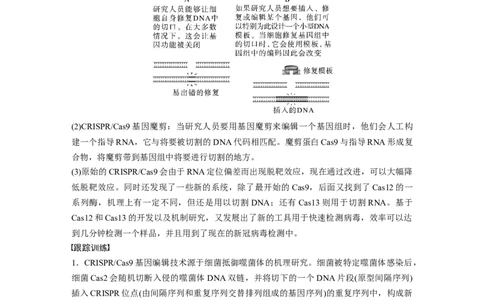 2024年高考生物一轮复习（新人教版）第10单元　解惑练5　CRISPRCas9技术_09高考生物_2024年新高考资料_1.2024一轮复习_2024年高考生物一轮复习讲义（新人教版）