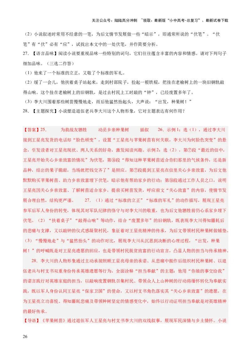 专题17小说阅读（一）（全国通用）（解析版）_02中考总复习（2026版更新中）_01-语文-中考总复习_2026年中考复习（更新中）