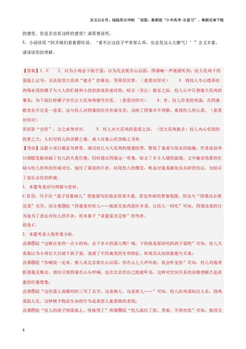 专题17小说阅读（一）（全国通用）（解析版）_02中考总复习（2026版更新中）_01-语文-中考总复习_2026年中考复习（更新中）