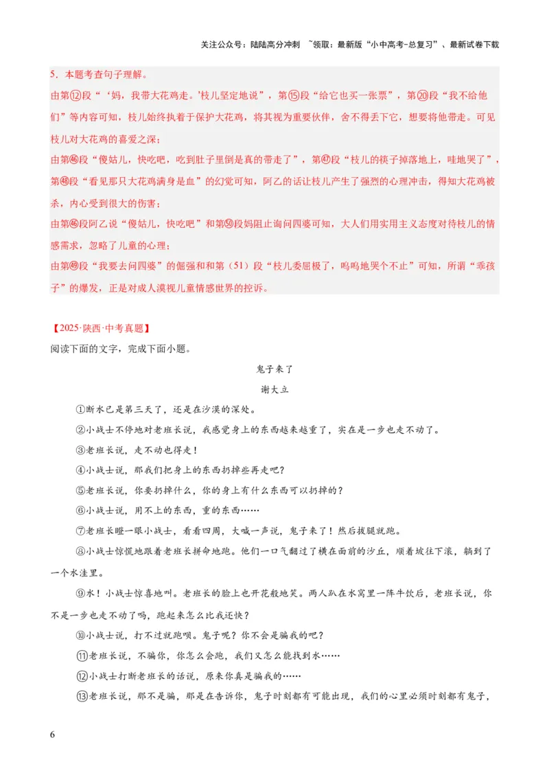 专题17小说阅读（一）（全国通用）（解析版）_02中考总复习（2026版更新中）_01-语文-中考总复习_2026年中考复习（更新中）