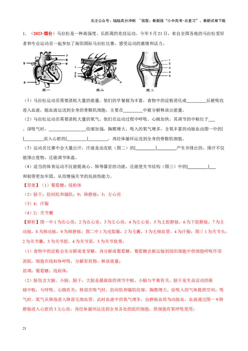 专题07&nbsp;人体内的物质运输和废物排出（解析版）_02中考总复习（2026版更新中）_08-生物-中考总复习_2024年中考复习资料_专项复习_完三年（2021-2023）中考生物真题分项汇编（全国通用）